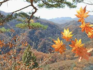 澳门三肖三码期期免费,数据解答讲解适用_l151511.355.71