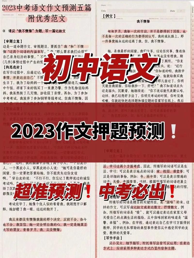 2023澳门天天彩免费精准资料