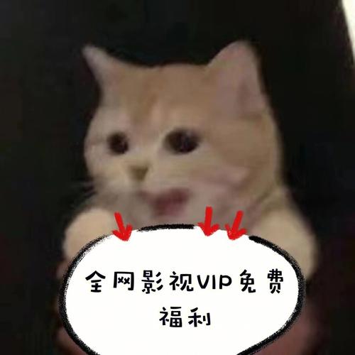 不用vip就可以追剧的软件