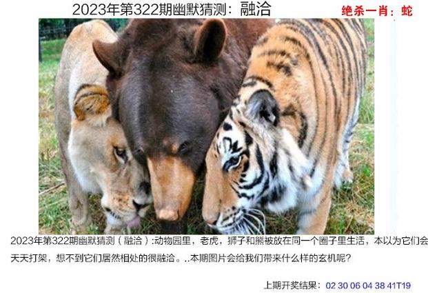 澳门最新资料2023年