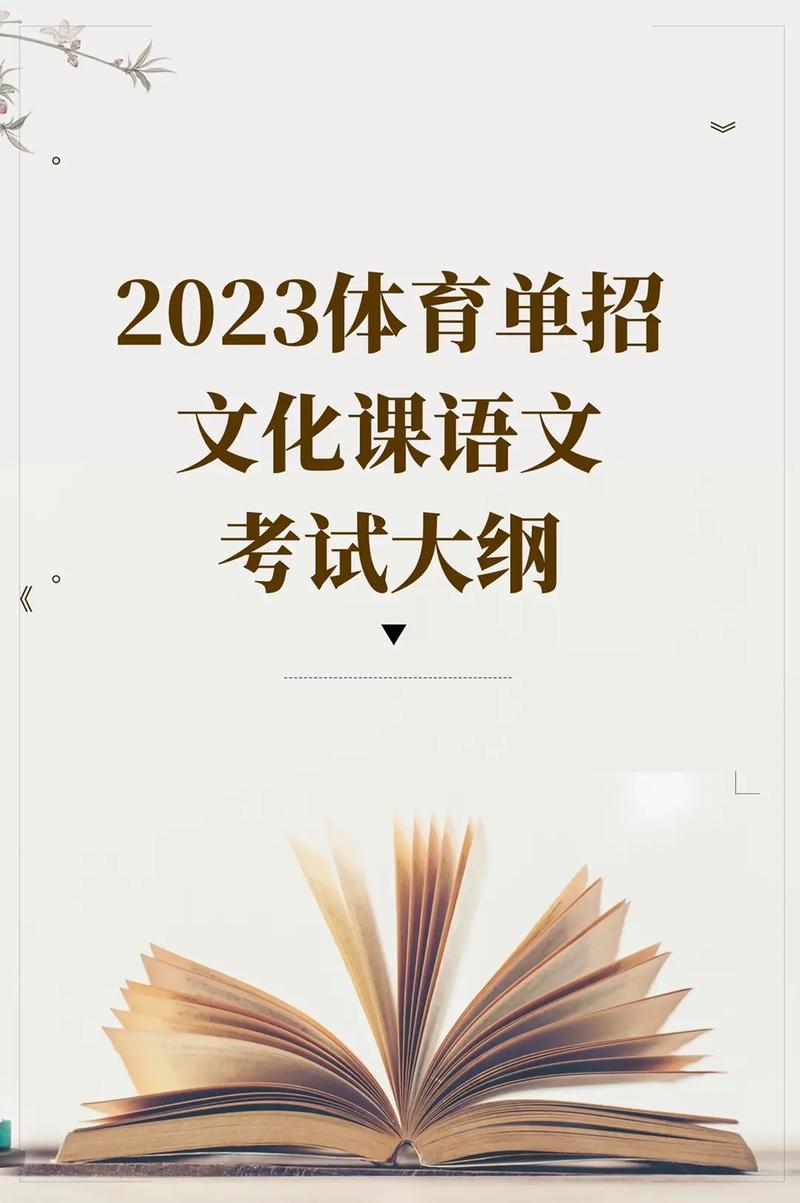 体育单招要什么水平,真实经典策略设计_VR型43.237