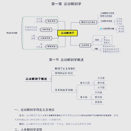 体育运动的魅力就在于,设计策略快速解答_整版DKJ656.74