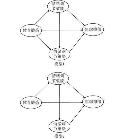 关于体育赛事