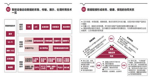 体育赛事保险,设计策略快速解答_VR型43.237