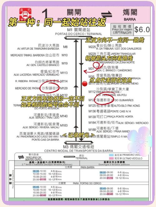 澳门号,设计策略快速解答_VR型43.237