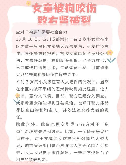 女童被狗扑咬受伤,女儿被小狗咬了没出血怎么办