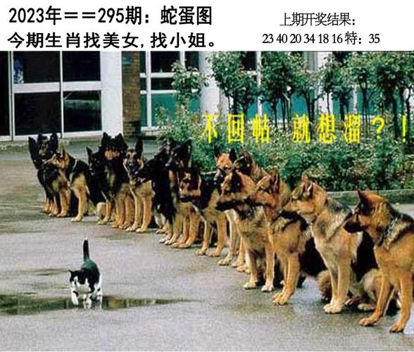 收集各类澳门彩资料的软件叫什么:巴基斯坦警告印度