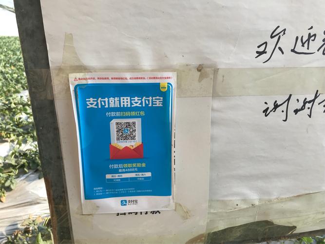 新澳2025年最新版资料柳媚花明:女子被法师诈骗38万