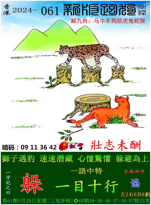 2025澳门天天开好彩大全2023:卖小狗花束月入3万